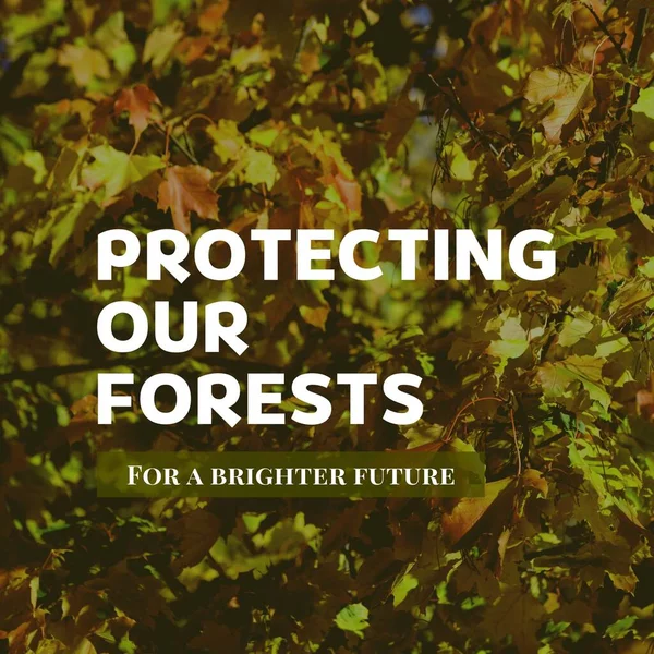 复合保护我们的森林一个光明的未来文本在枫叶生长在树上 保护和环境保护概念 — 图库照片