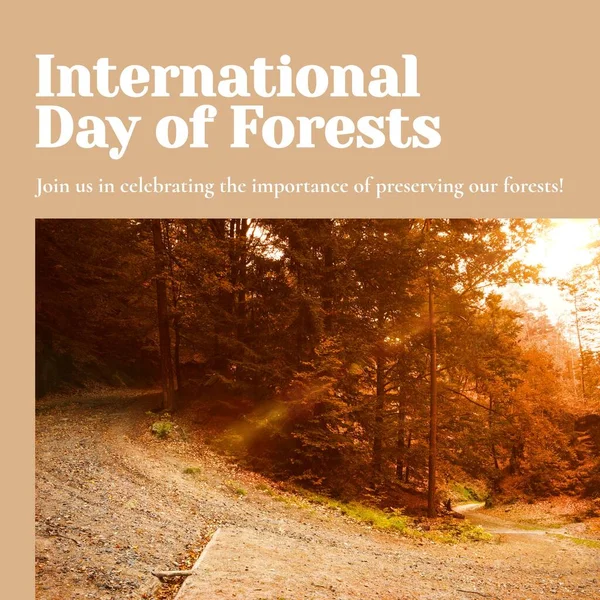 Composite of international day of forests text and trees growing in forest at sunset. Join us in celebrating the importance of preserving our forests, nature, awareness and protection concept.