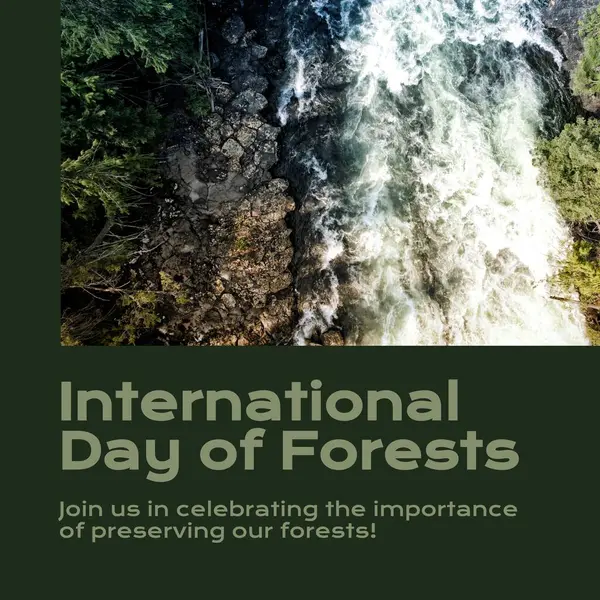 Composite International Day Forests Text Water Falling Rock Formations Join — Stock Photo, Image