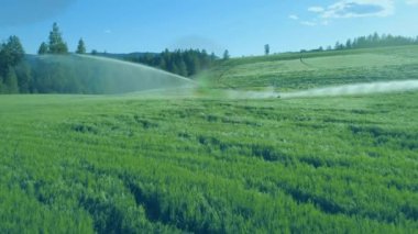 Çevre üzerindeki ekoloji simgelerinin canlandırılması ve su fıskiyeleri sahada. Küresel ekoloji, doğa, çevre ve dijital arayüz kavramı dijital olarak oluşturulmuş video.