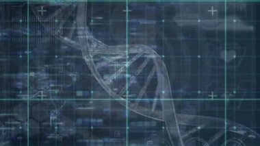 Karanlık arka planda DNA ipliği ve veri işleme animasyonu. Küresel bilim, bağlantılar, hesaplama ve veri işleme kavramı dijital olarak oluşturulmuş video.