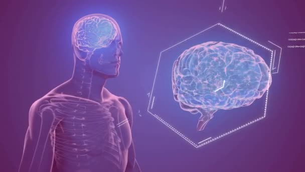 Dijital Beyin Üzerindeki Kimyasal Formülün Mor Arka Plandaki Insan Modelinin — Stok video