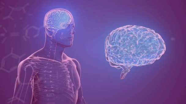 Animace Chemického Vzorce Nad Digitálním Mozkem Lidským Modelem Fialovém Pozadí — Stock video