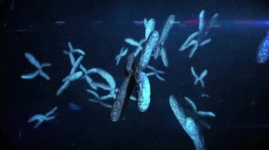 Siyah zemin üzerindeki DNA ipliği üzerinde ışık lekelerinin canlandırılması. Bilim, bilgisayar ve dijital arayüz kavramı dijital olarak oluşturulmuş video.