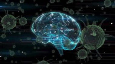 Siyah arka planda dijital beyin üzerinde virüs hücrelerinin animasyonu. Bilim, teknoloji ve dijital arayüz kavramı dijital olarak oluşturulmuş video.