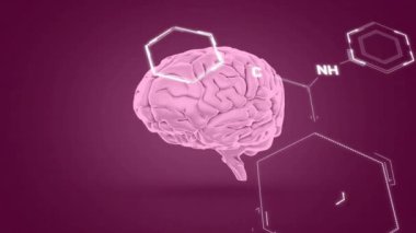 Mor arkaplandaki dijital beyin üzerindeki kimyasal formülün animasyonu. Bilim, kimya ve dijital arayüz kavramı dijital olarak oluşturulmuş video.