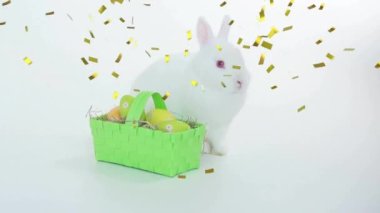 Beyaz arka planda paskalya yumurtası ve tavşan sepetinin üzerine düşen konfeti animasyonu. Paskalya ve kutlama konsepti, dijital olarak üretilen video.
