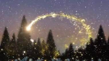 Hafif patika ve köknar ağaçlarının üzerine düşen kar animasyonu. Mevsim, kış ve şekiller konsepti, dijital olarak oluşturulmuş video.