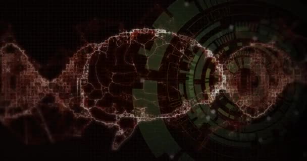 ダークバックグラウンド上の科学データ処理 Dnaストランド 人間の脳のアニメーション グローバルサイエンス コネクション コンピューティング データ処理コンセプトデジタル生成ビデオ — ストック動画