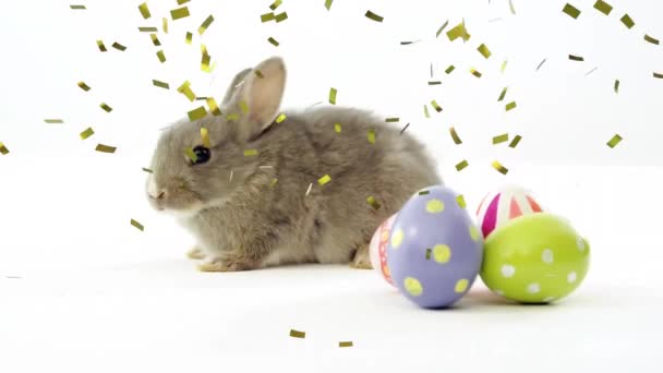 Animación Confeti Cayendo Sobre Conejo Con Huevos Pascua Sobre Fondo — Vídeo de stock