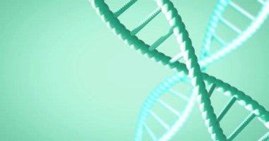 Yeşil arkaplanda fotokopi uzayıyla dönen DNA iplikçiklerinin animasyonu. Küresel bilim, araştırma ve veri işleme kavramı dijital olarak oluşturulmuş video.