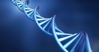 Mavi arka planda dönen DNA iplikçiklerinin animasyonu. Küresel bilim, araştırma ve veri işleme kavramı dijital olarak oluşturulmuş video.
