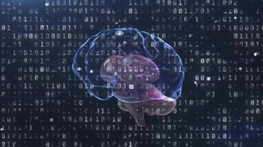 Karanlık arka planda insan beyni üzerinde ikili kodlama veri işleme animasyonu. Küresel bilim, iş, bağlantılar, hesaplama ve veri işleme kavramı dijital olarak oluşturulmuş video.
