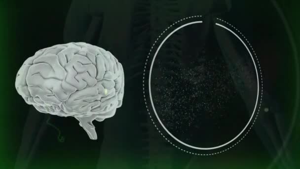 Animation Von Menschlichem Gehirn Dna Strang Und Datenverarbeitung Auf Schwarzem — Stockvideo