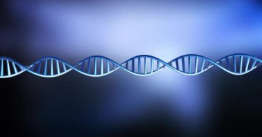 Mavi ve siyah arkaplan üzerinde kopyalama alanı ile dönen DNA iplikçiklerinin animasyonu. Küresel bilim, araştırma ve veri işleme kavramı dijital olarak oluşturulmuş video.