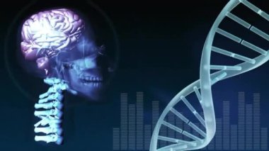 DNA iplikçiklerinin dönmesi ve insan beyninin karanlık arka planda dönmesi. Küresel bilim, araştırma, bağlantılar, hesaplama ve veri işleme kavramı dijital olarak oluşturulmuş video.
