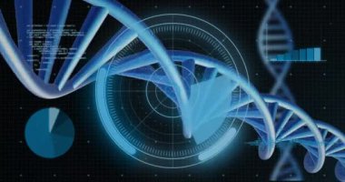 Siyah arkaplan üzerinde veri işleme ile dönen DNA iplikçiklerinin animasyonu. Küresel bilim, araştırma ve veri işleme kavramı dijital olarak oluşturulmuş video.