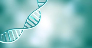 Yeşil zemin üzerinde kopyalama alanı ile dönen DNA iplikçiklerinin animasyonu. Küresel bilim, araştırma ve veri işleme kavramı dijital olarak oluşturulmuş video.