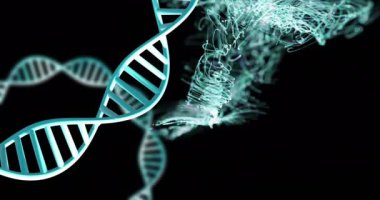 Karanlık arka planda parlayan ışık izleriyle dönen DNA ipliklerinin animasyonu. Küresel bilim, araştırma ve veri işleme kavramı dijital olarak oluşturulmuş video.
