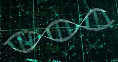 DNA iplikçiklerinin ve moleküllerin siyah arkaplandaki veri işleme üzerindeki animasyonu. Bilim, teknoloji, bilgisayar ve dijital arayüz konsepti dijital olarak oluşturulmuş video.