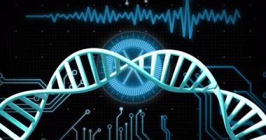 Siyah arka plandaki veri işleme üzerinde dönen DNA iplikçiklerinin animasyonu. Küresel bilim, araştırma ve veri işleme kavramı dijital olarak oluşturulmuş video.