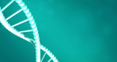 Yeşil zemin üzerinde kopyalama alanı ile dönen DNA iplikçiklerinin animasyonu. Küresel bilim, araştırma ve veri işleme kavramı dijital olarak oluşturulmuş video.