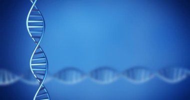 Mavi arkaplan üzerinde fotokopi uzayıyla dönen DNA iplikçiklerinin canlandırması. Küresel bilim, araştırma ve veri işleme kavramı dijital olarak oluşturulmuş video.