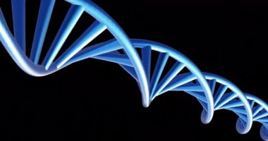 Siyah arkaplan üzerinde fotokopi uzayıyla dönen DNA ipliklerinin animasyonu. Küresel bilim, araştırma ve veri işleme kavramı dijital olarak oluşturulmuş video.