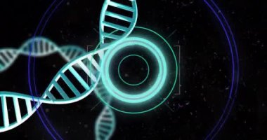 Siyah arkaplan üzerinde veri işleme ile dönen DNA iplikçiklerinin animasyonu. Küresel bilim, araştırma ve veri işleme kavramı dijital olarak oluşturulmuş video.