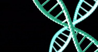 Siyah arkaplanda fotokopi uzayıyla dönen DNA iplikçiklerinin animasyonu. Küresel bilim, araştırma ve veri işleme kavramı dijital olarak oluşturulmuş video.