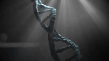 Gri arka planda dönen DNA iplikçiklerinin animasyonu. Küresel bilim, araştırma, bağlantılar, hesaplama ve veri işleme kavramı dijital olarak oluşturulmuş video.