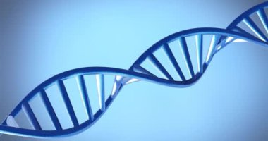 Mavi arkaplanda kopyalama alanı ile dönen DNA iplikçiklerinin animasyonu. Küresel bilim, araştırma ve veri işleme kavramı dijital olarak oluşturulmuş video.