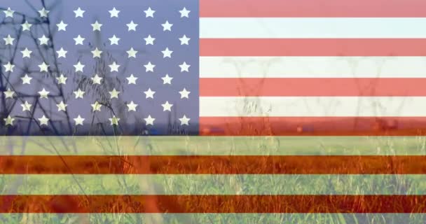 Κινούμενα Σχέδια Της Αμερικανικής Σημαίας Πάνω Από Ψηλό Γρασίδι Φυσάει — Αρχείο Βίντεο