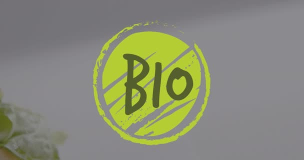 Animacja Bio Tekstu Zielonym Logo Nad Wegetariańskim Burgerem Sałatką Bułce — Wideo stockowe
