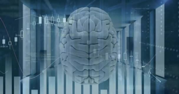 Animacja Statystyk Przetwarzanie Danych Finansowych Przez Ludzki Mózg Globalne Finanse — Wideo stockowe