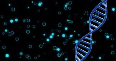 Siyah arkaplan üzerinde ışık lekeleri olan DNA iplikçiklerinin dönmesi. Küresel bilim, araştırma ve veri işleme kavramı dijital olarak oluşturulmuş video.