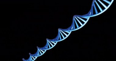 Siyah arkaplan üzerinde fotokopi uzayıyla dönen DNA ipliklerinin animasyonu. Küresel bilim, araştırma ve veri işleme kavramı dijital olarak oluşturulmuş video.