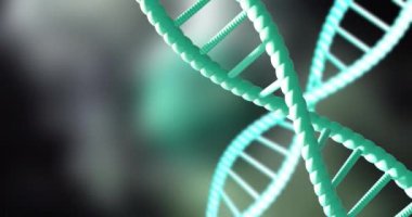 Karanlık arka planda fotokopi uzayıyla dönen DNA iplikçiklerinin animasyonu. Küresel bilim, araştırma ve veri işleme kavramı dijital olarak oluşturulmuş video.