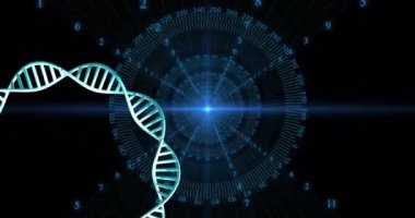 Siyah arkaplan üzerinde veri işleme ile dönen DNA ipliklerinin animasyonu. Küresel bilim, araştırma ve veri işleme kavramı dijital olarak oluşturulmuş video.