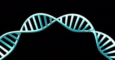 Siyah arkaplan üzerinde fotokopi uzayıyla dönen DNA ipliklerinin animasyonu. Küresel bilim, araştırma ve veri işleme kavramı dijital olarak oluşturulmuş video.