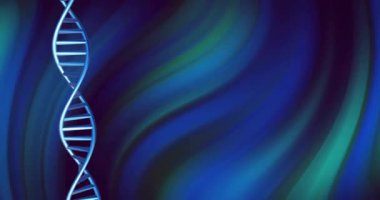 Mavi ve siyah arkaplan üzerinde kopyalama alanı ile dönen DNA iplikçiklerinin animasyonu. Küresel bilim, araştırma ve veri işleme kavramı dijital olarak oluşturulmuş video.