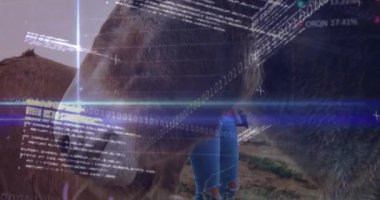 İneklerin tarlada finansal veri işleme animasyonu. Küresel tarım, iş, bağlantılar, hesaplama ve veri işleme kavramı dijital olarak oluşturulmuş video.