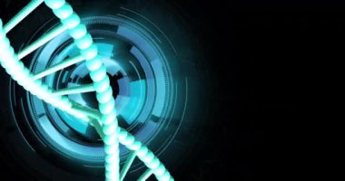 Siyah arkaplan üzerinde veri işleme ile dönen DNA ipliklerinin animasyonu. Küresel bilim, araştırma ve veri işleme kavramı dijital olarak oluşturulmuş video.
