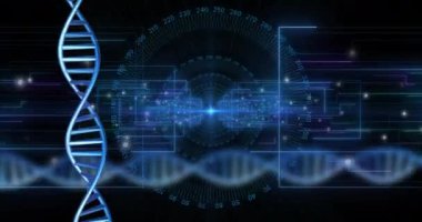 Siyah arkaplan üzerinde veri işleme ile dönen DNA ipliklerinin animasyonu. Küresel bilim, araştırma ve veri işleme kavramı dijital olarak oluşturulmuş video.