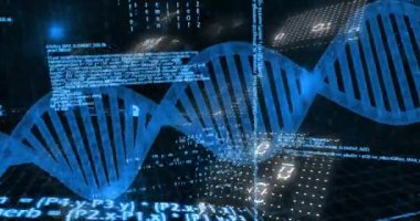 Siyah arka plandaki veri işleme üzerindeki DNA iplikçiklerinin animasyonu. Bilim, teknoloji, bilgisayar ve dijital arayüz konsepti dijital olarak oluşturulmuş video.