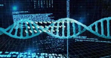 Siyah arka plandaki veri işleme üzerindeki DNA iplikçiklerinin animasyonu. Bilim, teknoloji, bilgisayar ve dijital arayüz konsepti dijital olarak oluşturulmuş video.