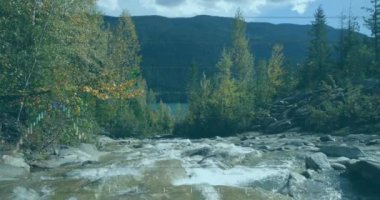 Veri işleme ve peyzaj üzerindeki diyagramın animasyonu. Küresel iş, doğa ve dijital arayüz kavramı, dijital olarak oluşturulmuş video.