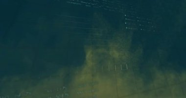 Veri işlemenin animasyonu, borsa ve duman bulutlarının üzerindeki diyagramlar. Küresel iş, doğa ve dijital arayüz kavramı, dijital olarak oluşturulmuş video.