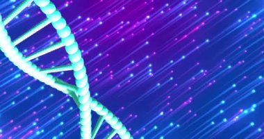 Mavi ve siyah arkaplan üzerinde kopyalama alanı ile dönen DNA iplikçiklerinin animasyonu. Küresel bilim, araştırma ve veri işleme kavramı dijital olarak oluşturulmuş video.