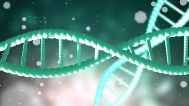 Karanlık arka planda parlayan ışıklarla dönen DNA ipliklerinin animasyonu. Küresel bilim, araştırma ve veri işleme kavramı dijital olarak oluşturulmuş video.